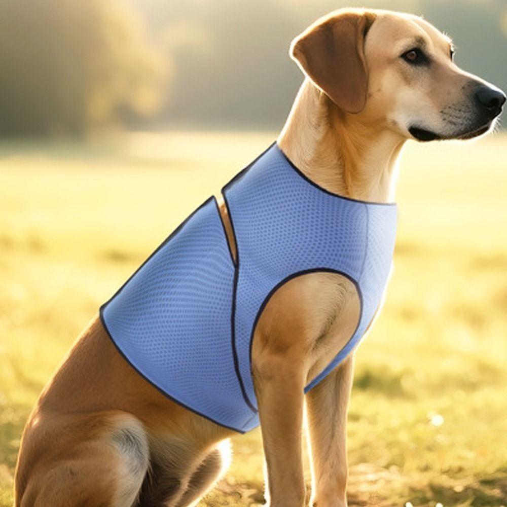 Adjustable Dog Anxiety Vest Secure Dog Soothing Clothes Dog Chest Back Clothing For Dogs S синій
Adjustable Dog Anxiety Vest Secure Dog Soothing Clothes Dog Chest Back Clothing For Dogs S синій