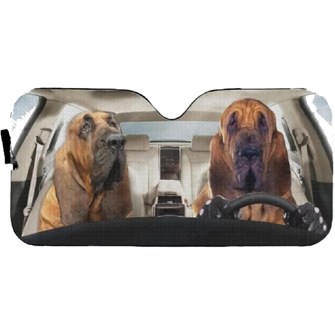 Windshield Sun Shade Bloodhound Couple Windshield Sun Shade Reflective Sun Keeping Your Vehicle Cooler for Most Sedans SUV Truck Automotive 51x28In 51 x 28
Windshield Sun Shade Bloodhound Couple Windshield Sun Shade Reflective Sun Keeping Your Vehicle Cooler for Most Sedans SUV Truck Automotive 51x28In 51 x 28