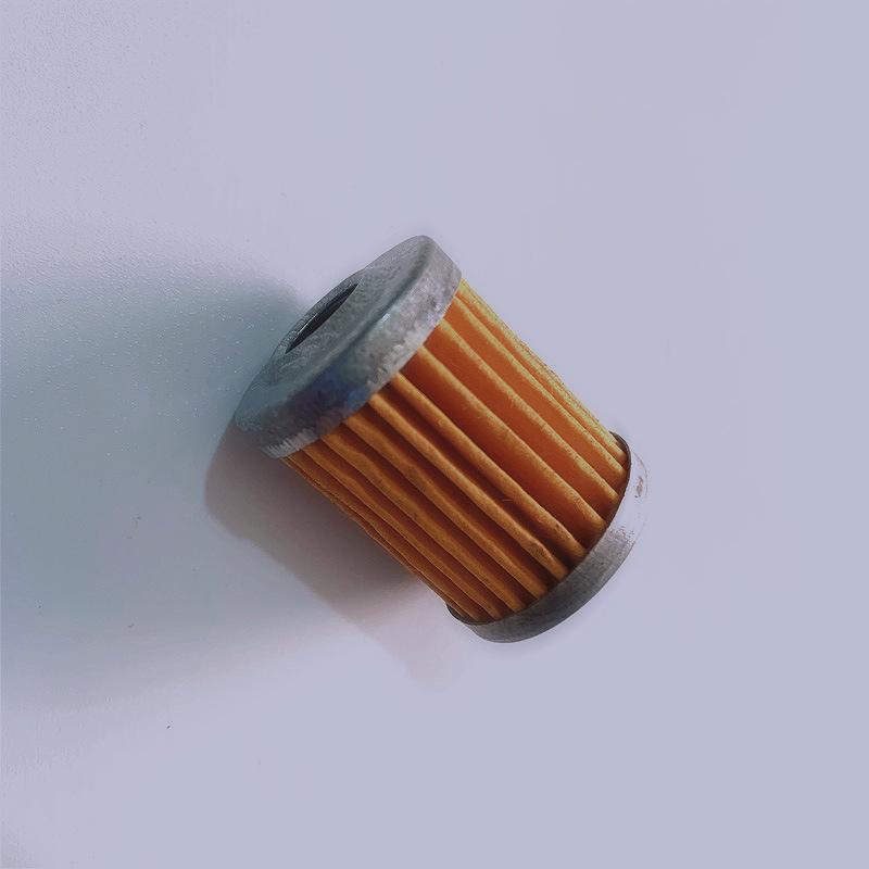 QS125/GS125/GT125 Junlong Gasoline Filter Element
QS125/GS125/GT125 Junlong Gasoline Filter Element