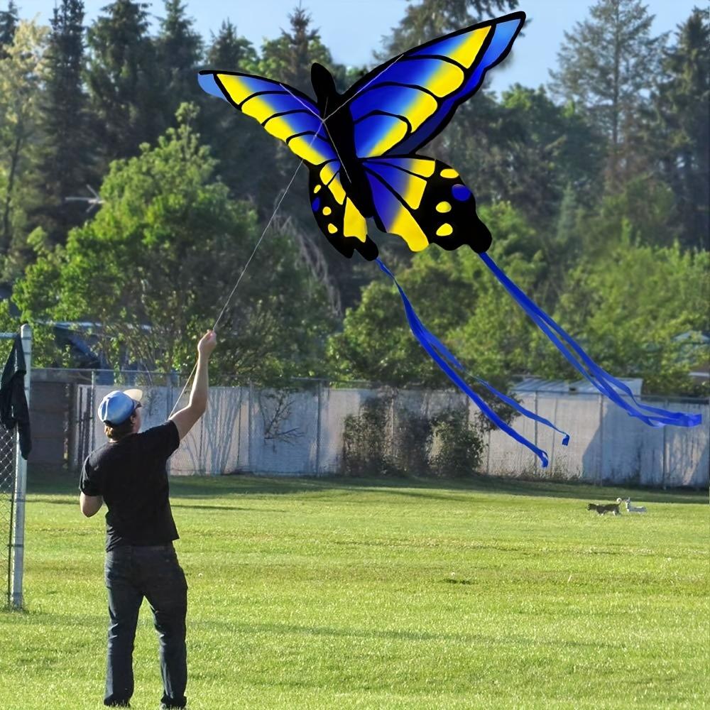 Привлекательный стильный воздушный змей Easy Fly Butterfly для универсального развлечения на свежем воздухе — полный комплект в комплекте
Привлекательный стильный воздушный змей Easy Fly Butterfly для универсального развлечения на свежем воздухе — полный комплект в комплекте