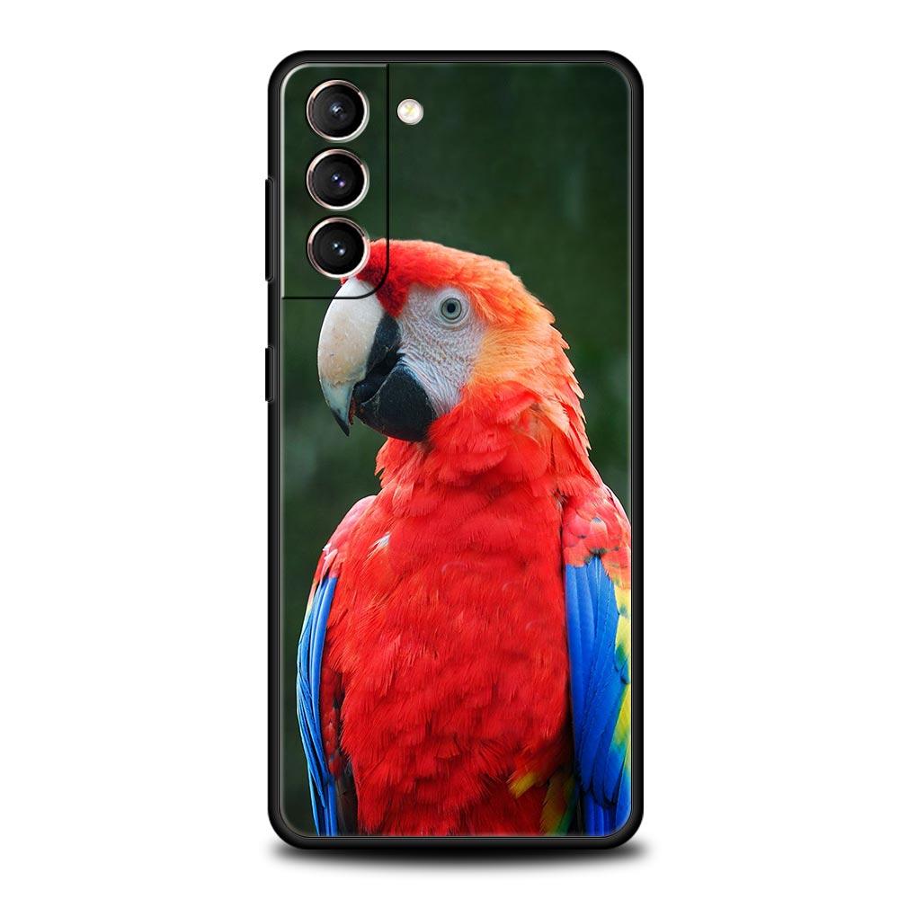 Parrot Bird Phone Case For Samsung Galaxy S26 Ultra S25 Plus S24 FE S23 S22 5G S21 S20 Cover Black Soft Samsung S21Ultra
Parrot Bird Phone Case For Samsung Galaxy S26 Ultra S25 Plus S24 FE S23 S22 5G S21 S20 Cover Black Soft Samsung S21Ultra