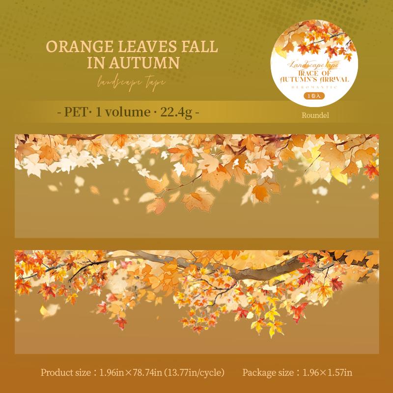 50mm*2m PET Tape Autumn leaves vines branches Stickers Decor Junk Journal DIY Scrapbooking School Supplies Collage Stationery
50mm*2m PET Tape Autumn leaves vines branches Stickers Decor Junk Journal DIY Scrapbooking School Supplies Collage Stationery