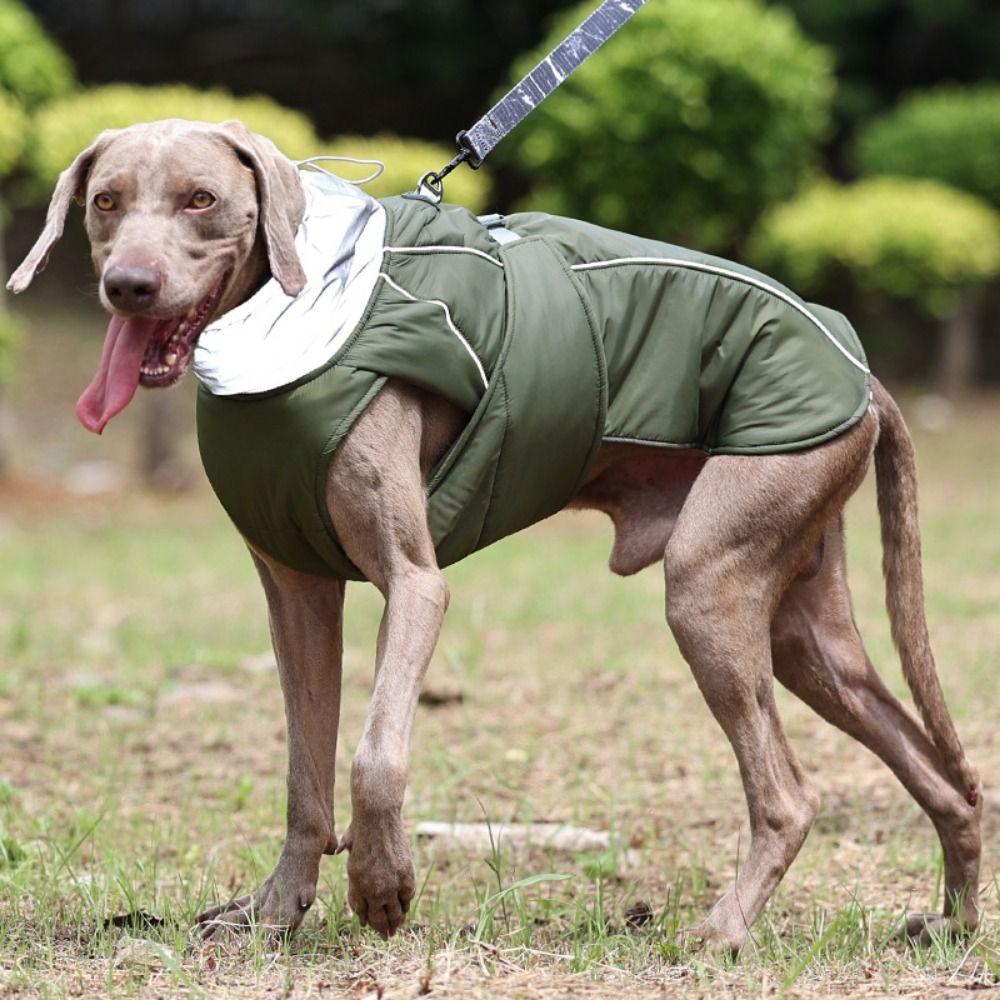 High Collar Dogs Training Cotton Clothes Nylon/Polyester Dog Reflective Safety Vest Jacket Autumn S бежевый
High Collar Dogs Training Cotton Clothes Nylon/Polyester Dog Reflective Safety Vest Jacket Autumn S бежевый