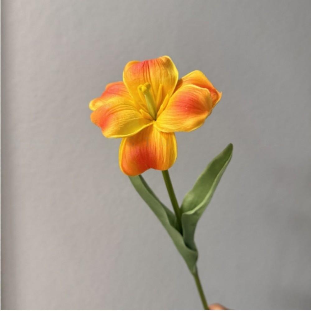 Big Open Tulips Tulip Artificial Flower Hand Feel Moisturizing DIY Flower Faux Flowers Floral Decor PU Fake Flowers оранжевый
Big Open Tulips Tulip Artificial Flower Hand Feel Moisturizing DIY Flower Faux Flowers Floral Decor PU Fake Flowers оранжевый