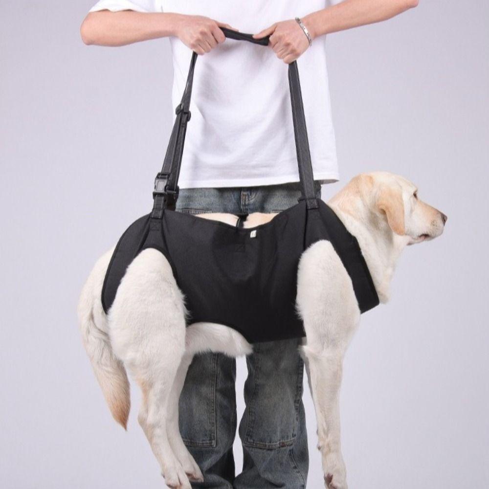 Thicken Handle Dog Lift Harness Adjustable Strap Pet Lifting Vest Dog Sling Carrier Pet Supplies S зелений
Thicken Handle Dog Lift Harness Adjustable Strap Pet Lifting Vest Dog Sling Carrier Pet Supplies S зелений