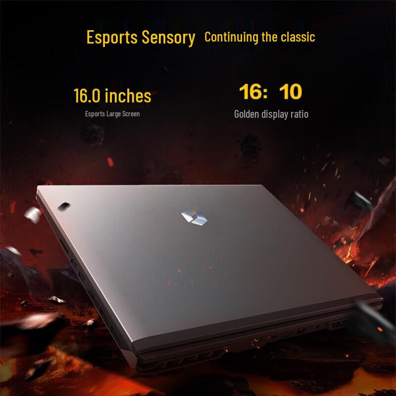 Mechrevo Jiaolong 16Pro 2024 Flagship AIPC Gaming Laptop (CN version)
Mechrevo Jiaolong 16Pro 2024 Flagship AIPC Gaming Laptop (CN version)