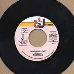 7-дюймовая пластинка BUSHMAN - Wings Of Love НЕТ Cj Records 2006 Ямайка Регги, Ска и Даб Б/У
7-дюймовая пластинка BUSHMAN - Wings Of Love НЕТ Cj Records 2006 Ямайка Регги, Ска и Даб Б/У
