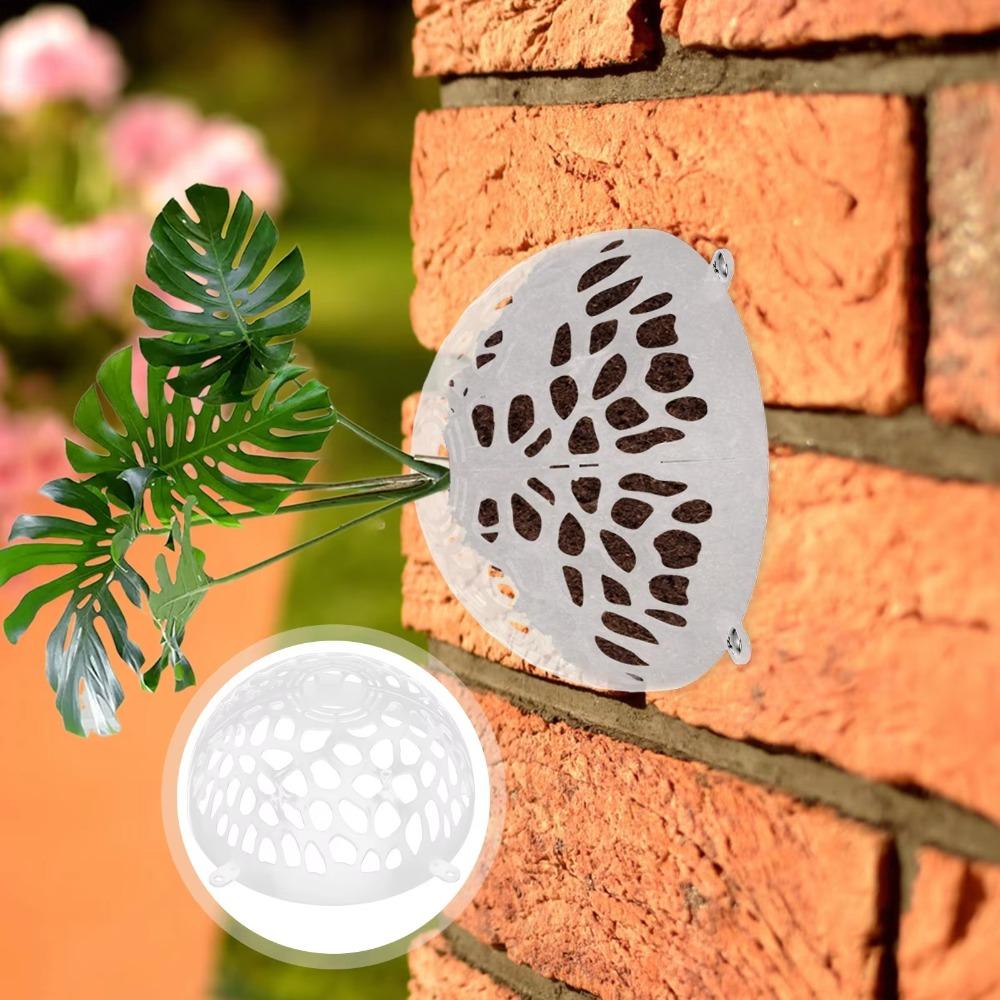 Plastic Plants Soil Protector Cover Replaceable Floral Hole Cover For Fern Phalaenopsis Style 3
Plastic Plants Soil Protector Cover Replaceable Floral Hole Cover For Fern Phalaenopsis Style 3