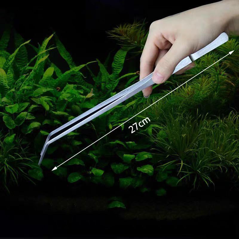 1PcsStainless Steel Curved Aquarium Tweezers Aquarium Plants Shrimp Reef Tweezer Straight Fish Tank Cleaner Aquarium Accessories
1PcsStainless Steel Curved Aquarium Tweezers Aquarium Plants Shrimp Reef Tweezer Straight Fish Tank Cleaner Aquarium Accessories