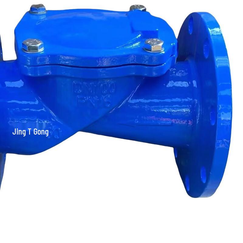 OIMG Ductile Iron Horizontal Flange Check Valve with Rubber Disc
OIMG Ductile Iron Horizontal Flange Check Valve with Rubber Disc