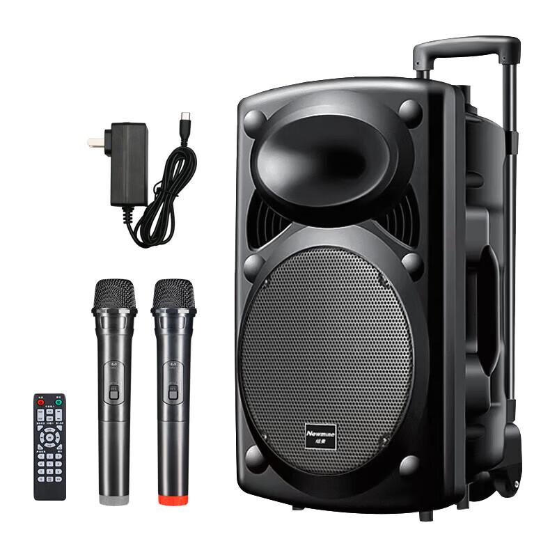 Newman B12 Portable Bluetooth Trolley Speaker CN plug (adapter included)
Newman B12 Portable Bluetooth Trolley Speaker CN plug (adapter included)