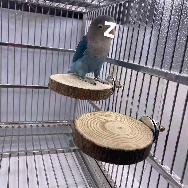 Платформа для стрибків для папуг та хом яків з масиву дерева з підвісним мостом та рампою Diameter 5-6cm with bark
Платформа для стрибків для папуг та хом яків з масиву дерева з підвісним мостом та рампою Diameter 5-6cm with bark