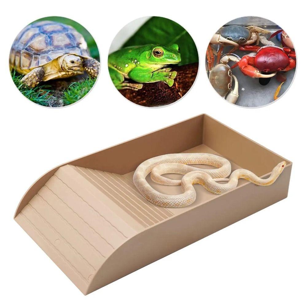 Burr-free Tortoise Feeder With Platform Turtle Tank Reptile Water Bowl Snake beige-S
Burr-free Tortoise Feeder With Platform Turtle Tank Reptile Water Bowl Snake beige-S