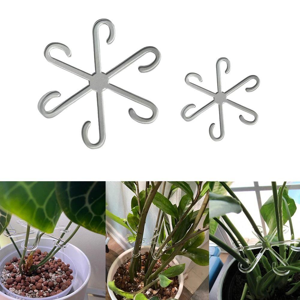 2 шт. акриловые держатели для стеблей растений фиксатор стеблей цветов для фруктов виноградных растений цветы
2 шт. акриловые держатели для стеблей растений фиксатор стеблей цветов для фруктов виноградных растений цветы