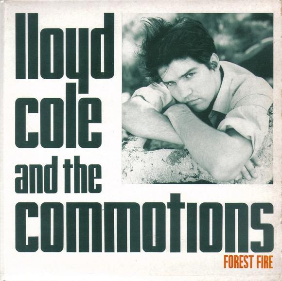 7-дюймовая пластинка LLOYD COLE THE COMMOTIONS Лесной пожар COLEG2 POLYDOR 1984 Великобритания Рок Б/У
7-дюймовая пластинка LLOYD COLE THE COMMOTIONS Лесной пожар COLEG2 POLYDOR 1984 Великобритания Рок Б/У