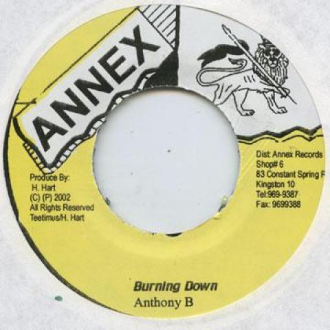 7inch Record ANTHONY B - Burning Down Annex 2005 Jamaica Reggae, Ska & Dub
7inch Record ANTHONY B - Burning Down Annex 2005 Jamaica Reggae, Ska & Dub