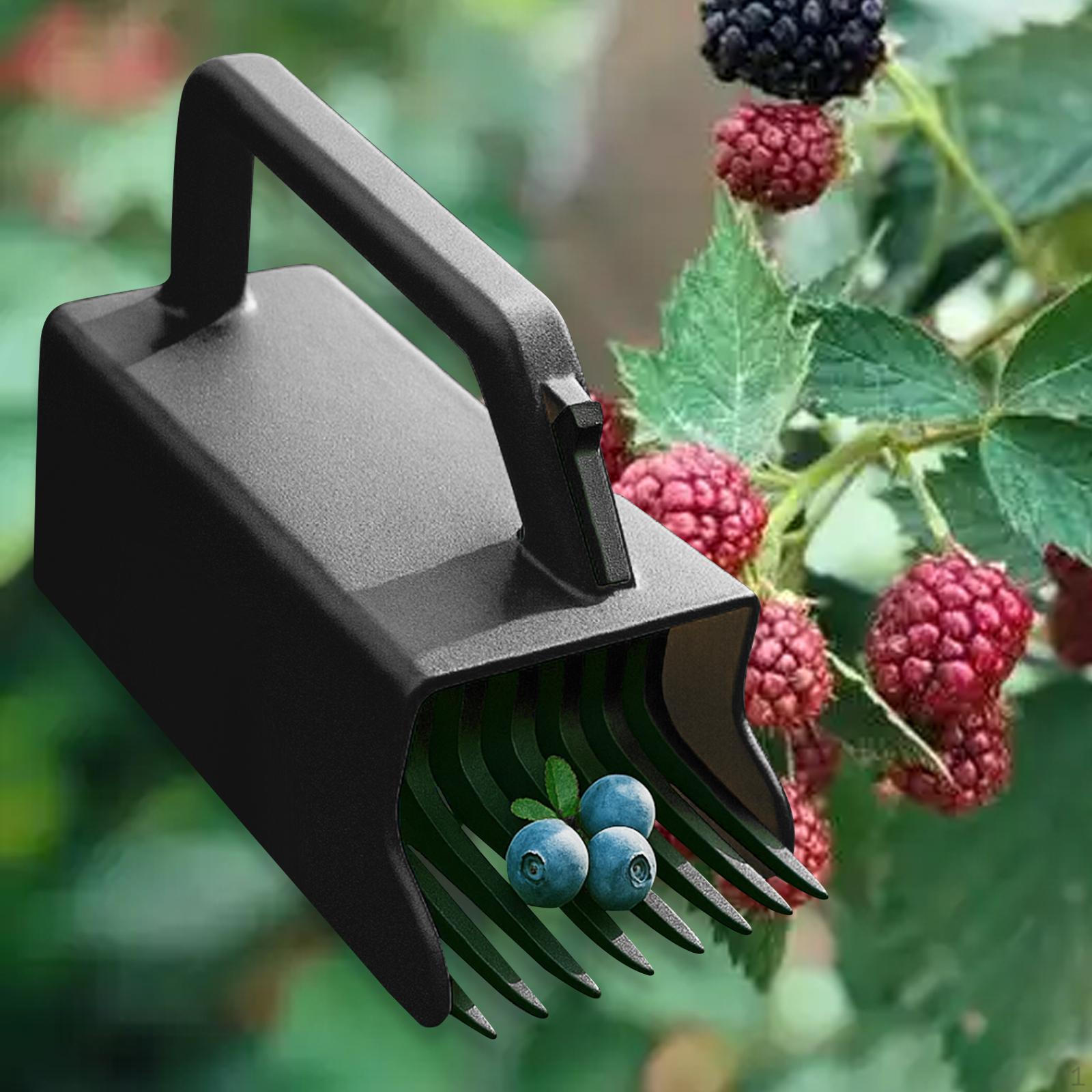 Collector Rake, Lightweight Tool for Picking чорний
Collector Rake, Lightweight Tool for Picking чорний