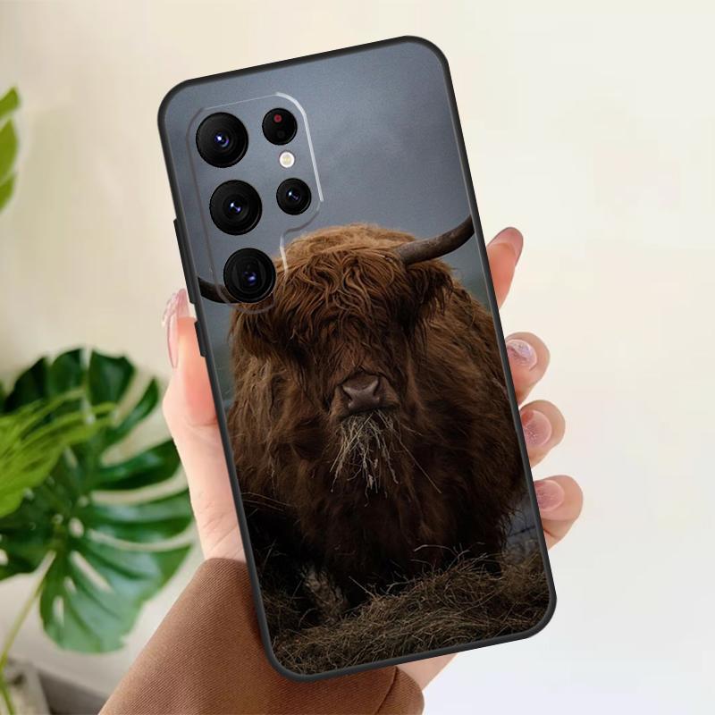 Highland Cow Animal Soft Case For Samsung Galaxy S25 S21 S22 S23 S24 Ultra S9 S10 Plus S20 FE S24 FE Phone Cover Galaxy S22
Highland Cow Animal Soft Case For Samsung Galaxy S25 S21 S22 S23 S24 Ultra S9 S10 Plus S20 FE S24 FE Phone Cover Galaxy S22