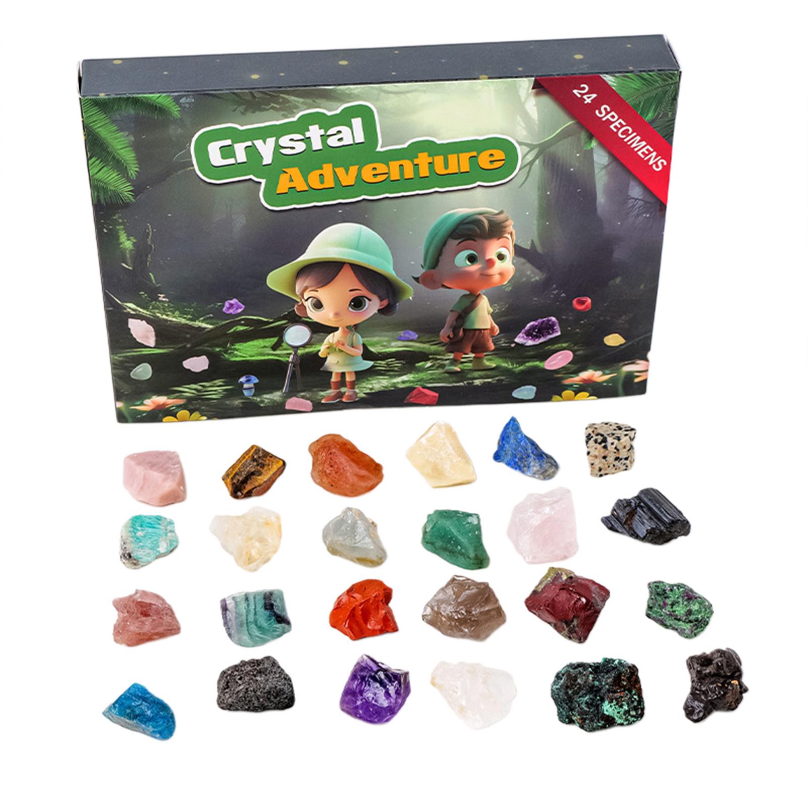 Адвент Календарь Коробка С Орехами Детский Взрослых Подходит Календарь Коробка Для Повседневной Жизни As Shown