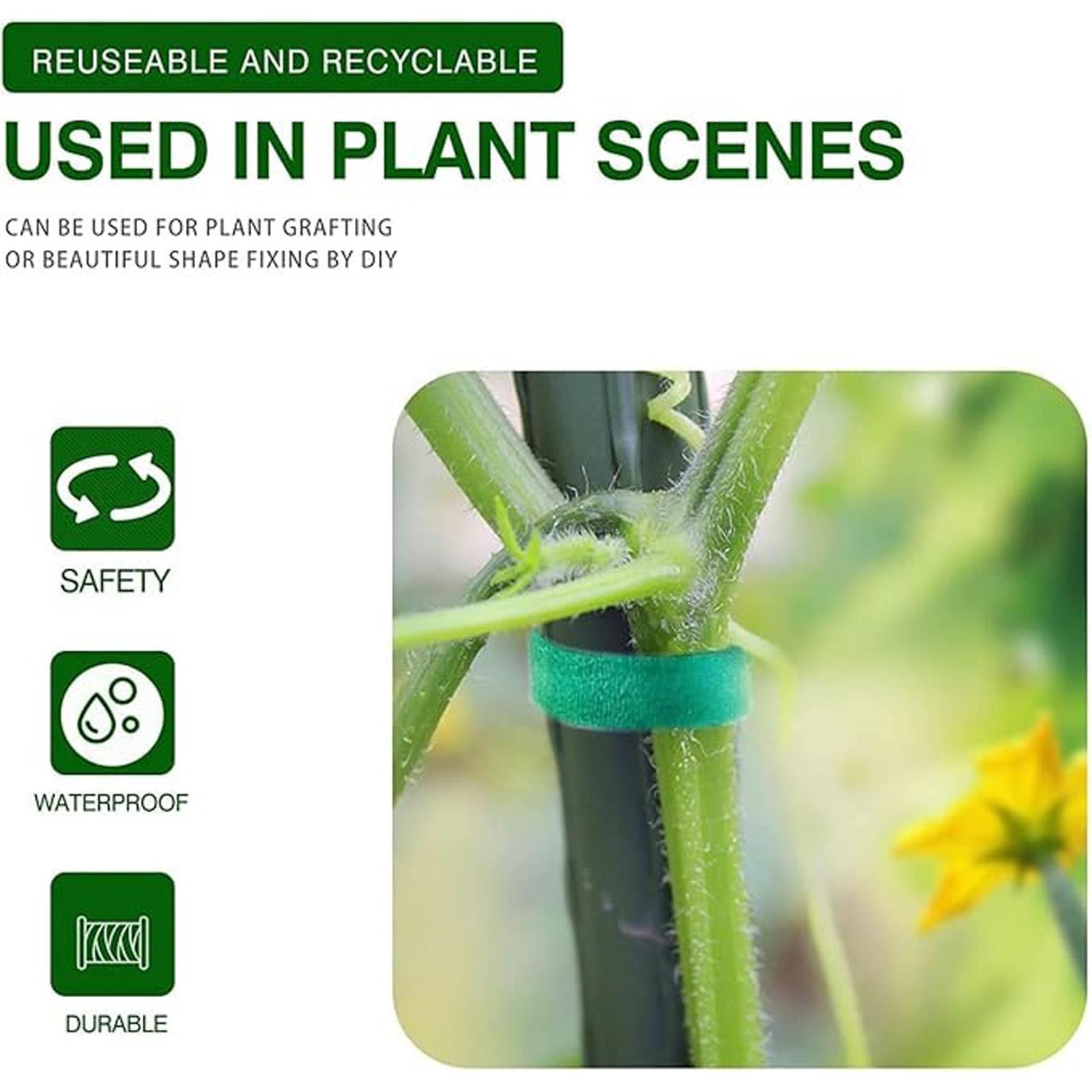 Green Plant Gardening Self-adhesive Plant Binding Tape, Green Climbing Plant Binding And Fixing Binding Tape, Flower Binding Tool one size
Green Plant Gardening Self-adhesive Plant Binding Tape, Green Climbing Plant Binding And Fixing Binding Tape, Flower Binding Tool one size