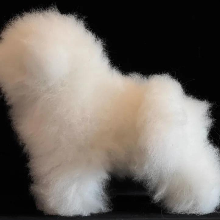 Поддельные волосы Модель Тедди Моделирование Пудель Скелет Упражнения по уходу за собаками Модель Собаки Стрижка Волос Все Тело Товары Для Домашних Животных Товары