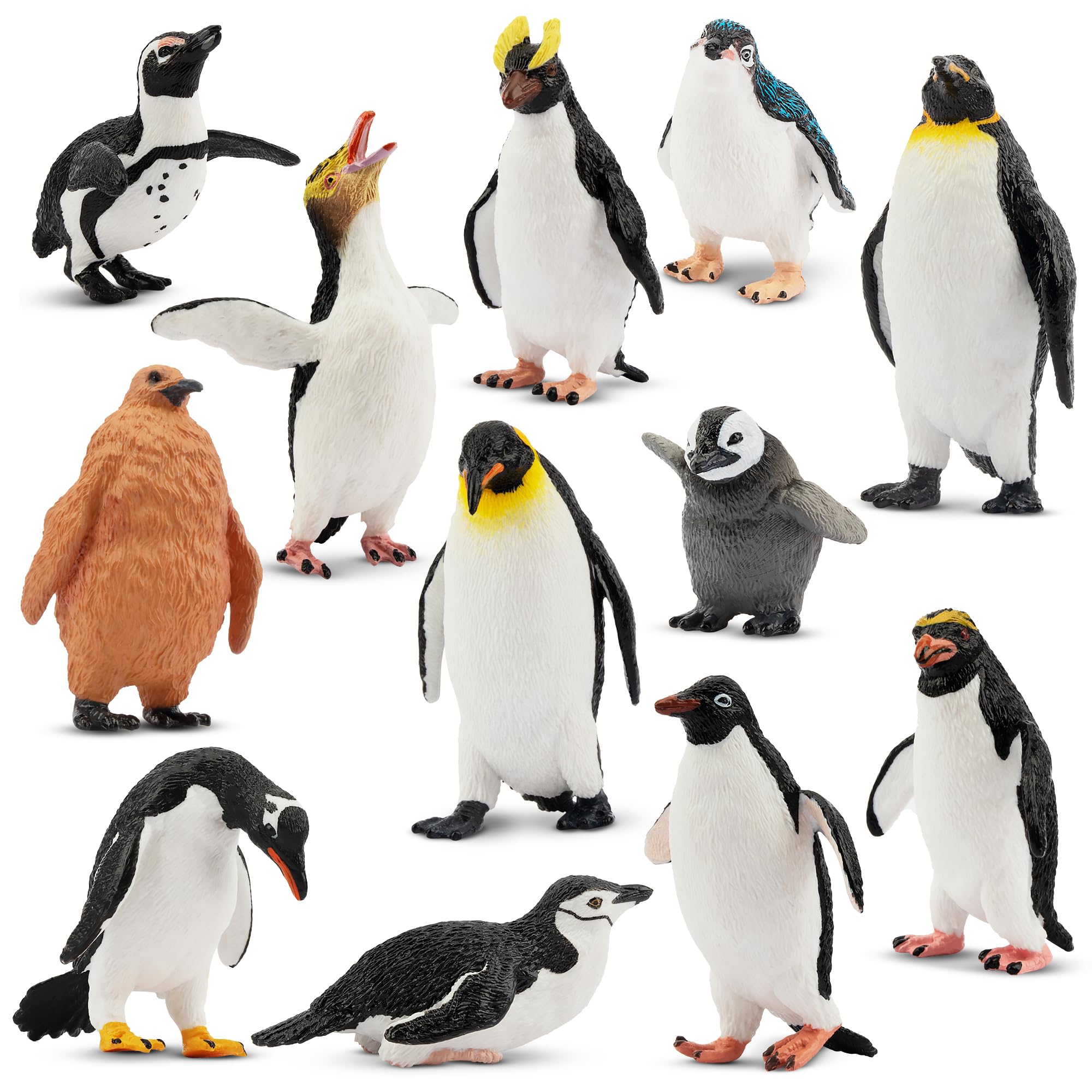 TOYMANY 12PCS Фигурка пингвина Антарктический набор фигурок животных Южный полярный круг Реалистичная модель животного Популярная игрушка животное подарок на день рождения украшение Рождество
TOYMANY 12PCS Фигурка пингвина Антарктический набор фигурок животных Южный полярный круг Реалистичная модель животного Популярная игрушка животное подарок на день рождения украшение Рождество