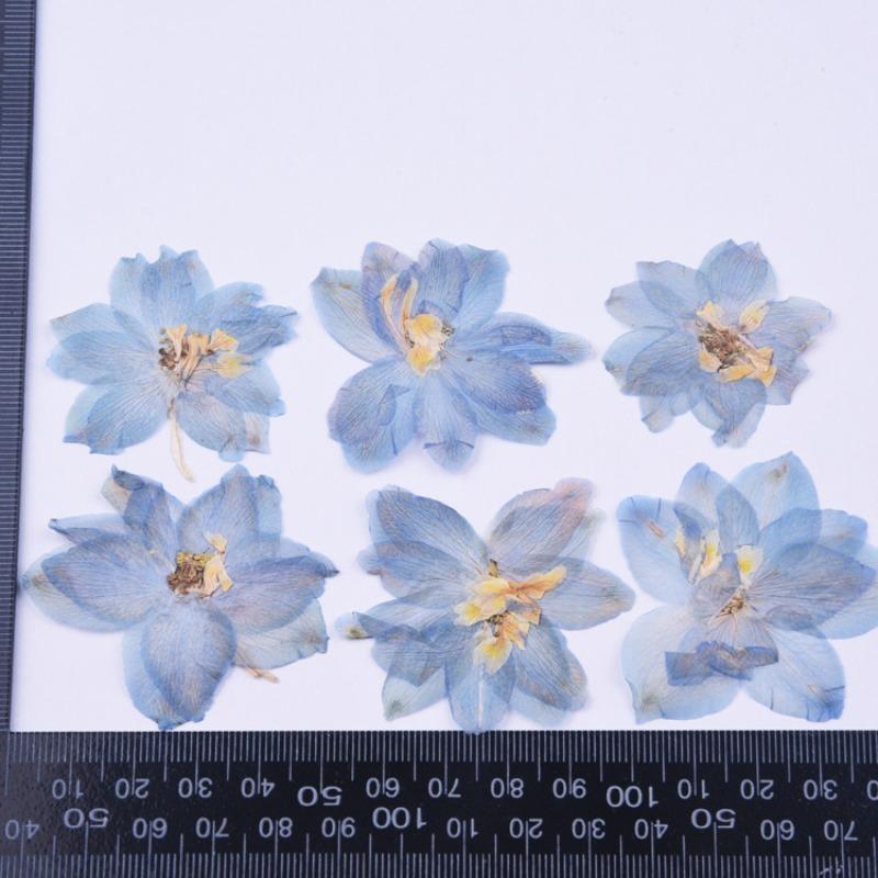 6PCS Set Blue Dried Pressed Flowers for DIY Phone Case Filling Natural Real Dried Flower Pendant Crafts Floral Art Decorations
6PCS Set Blue Dried Pressed Flowers for DIY Phone Case Filling Natural Real Dried Flower Pendant Crafts Floral Art Decorations