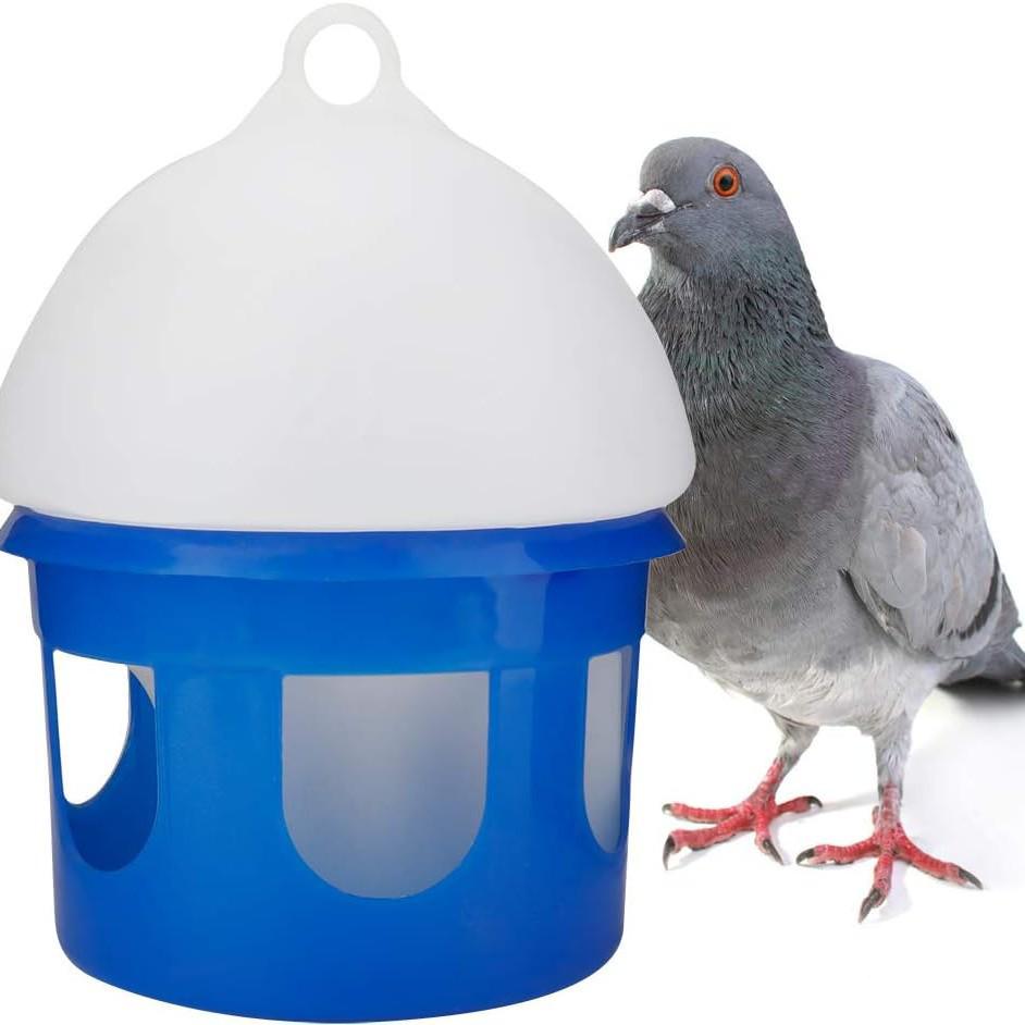 Racing Pigeon Supplies: Waterer & Feeder Bird Drinking Fountain 2L Waterer
Racing Pigeon Supplies: Waterer & Feeder Bird Drinking Fountain 2L Waterer