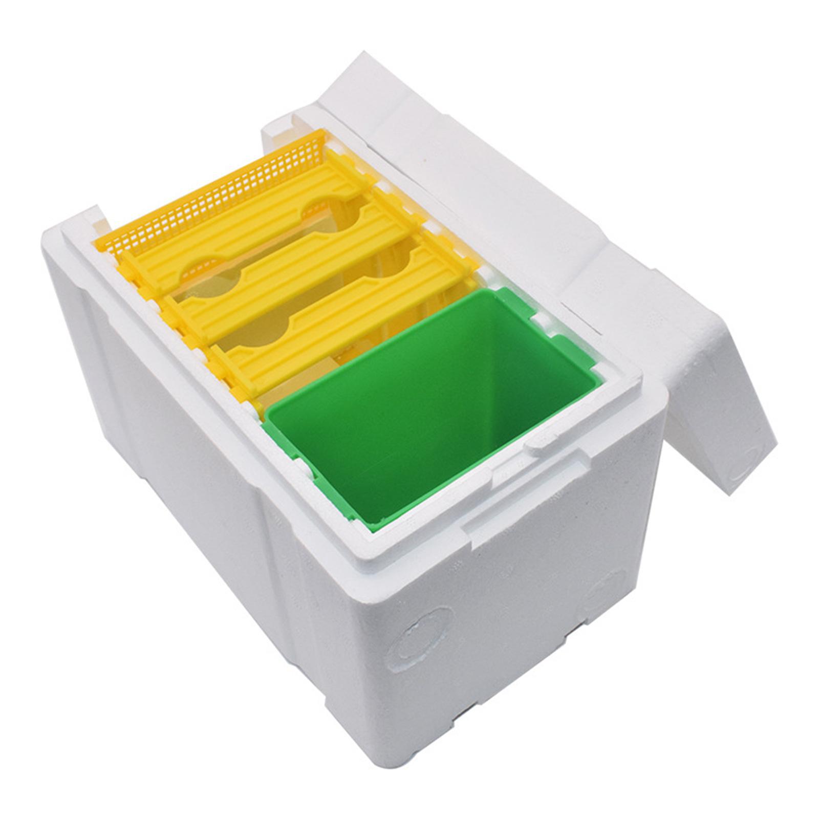 Beehive Queen Mating Box with Waterer - Green Single-Layer Pollination and Rearing Box
Beehive Queen Mating Box with Waterer - Green Single-Layer Pollination and Rearing Box