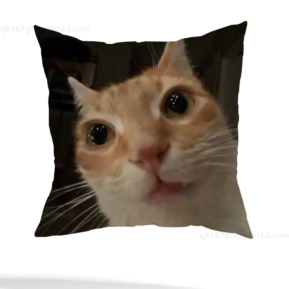 Funny Cat Meme Pillow Case Square Double-Sided Printing Short Plush Sofa Cushion Cover Bedroom Bedside Pillow 18x18Inch
Funny Cat Meme Pillow Case Square Double-Sided Printing Short Plush Sofa Cushion Cover Bedroom Bedside Pillow 18x18Inch