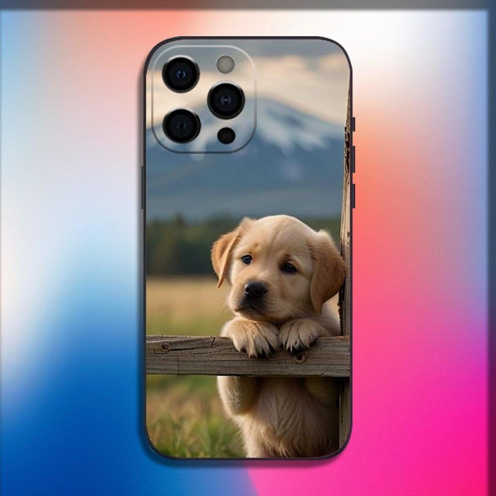 Golden Retriever Dog Pet Phone Case For iPhone 16,15,14,13,12,11,Pro,X,XS,Max,XR,Plus,Mini Soft Black Cover iPhone11
Golden Retriever Dog Pet Phone Case For iPhone 16,15,14,13,12,11,Pro,X,XS,Max,XR,Plus,Mini Soft Black Cover iPhone11