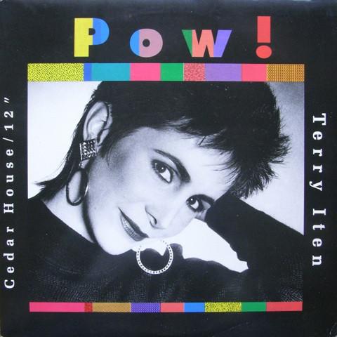12inch Record TERRY ITEN - Pow! CH502 Cedarhouse Musi 1987 US Dance & Electronica Used
12inch Record TERRY ITEN - Pow! CH502 Cedarhouse Musi 1987 US Dance & Electronica Used