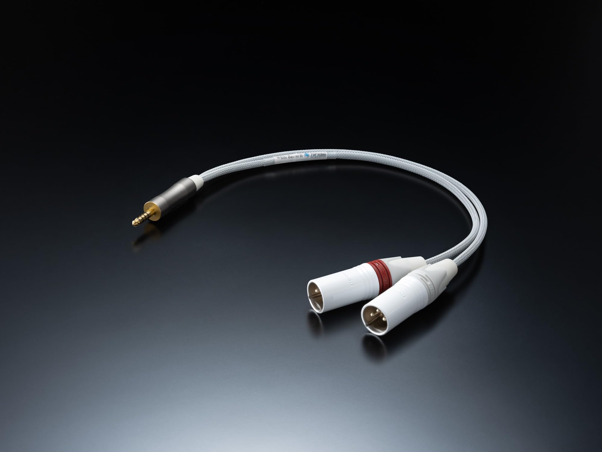 TOP WING White Barrel II - XLRM 40 см XLR x 2 сбалансированный кабель-переходник 4.4 4.4 мм- 3pin
TOP WING White Barrel II - XLRM 40 см XLR x 2 сбалансированный кабель-переходник 4.4 4.4 мм- 3pin