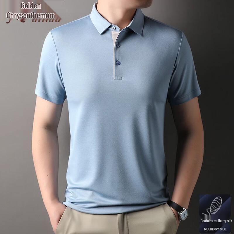 Men s Summer Silk Blend Polo T-Shirt XL
Men s Summer Silk Blend Polo T-Shirt XL