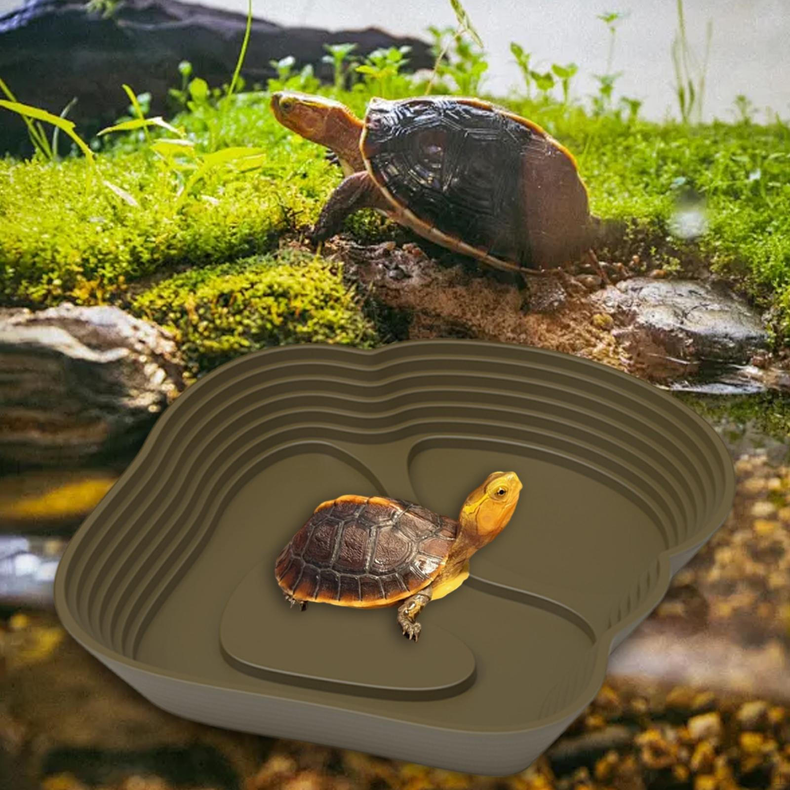 Рептилия Вода Миска Кормушка Декорации Бассейн для Черепах Террапинов кофейный
Рептилия Вода Миска Кормушка Декорации Бассейн для Черепах Террапинов кофейный