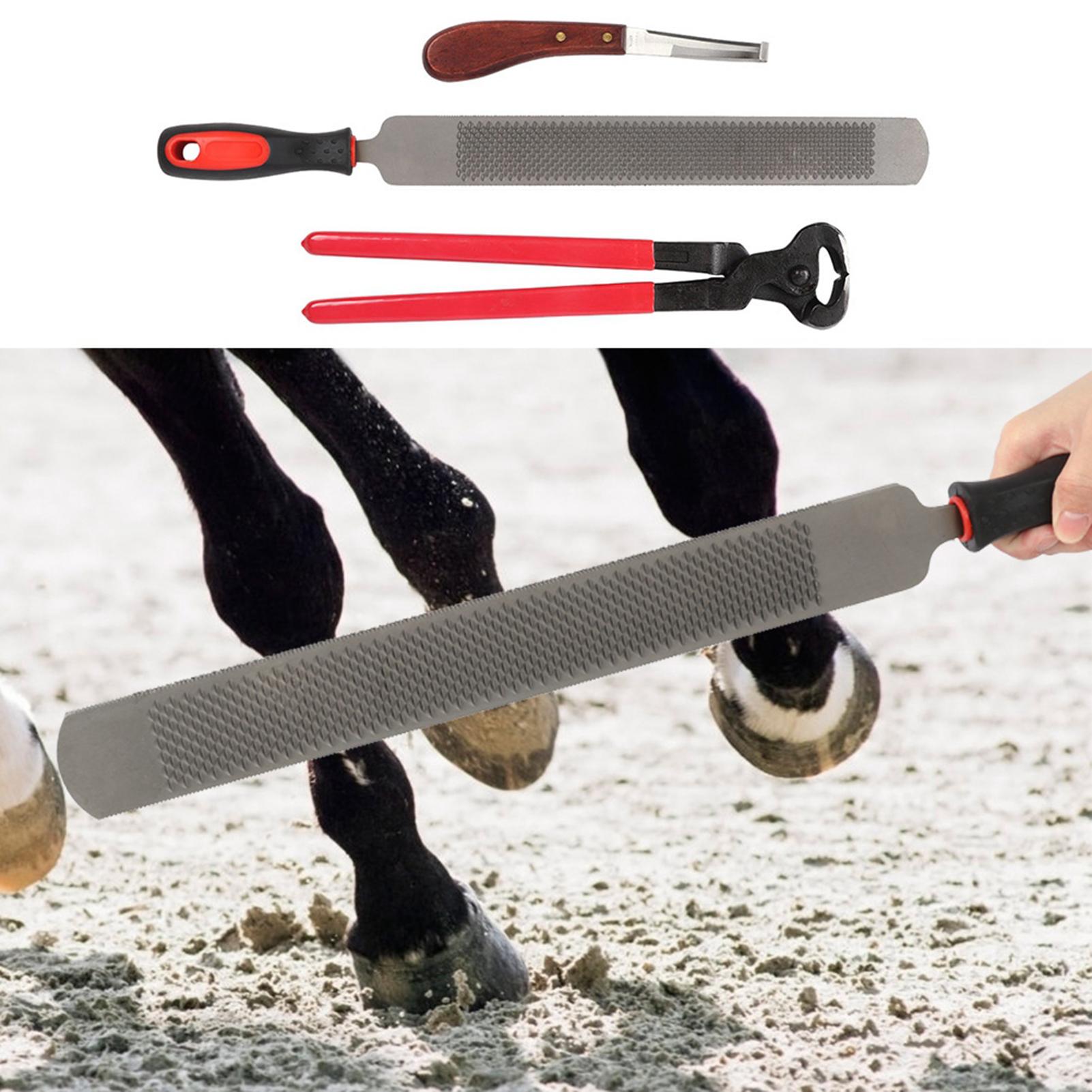 Professional Metal Shears Trimming Horse Equine Farriers Hoof Nipper Cutter Handle Knife Tools
Professional Metal Shears Trimming Horse Equine Farriers Hoof Nipper Cutter Handle Knife Tools
