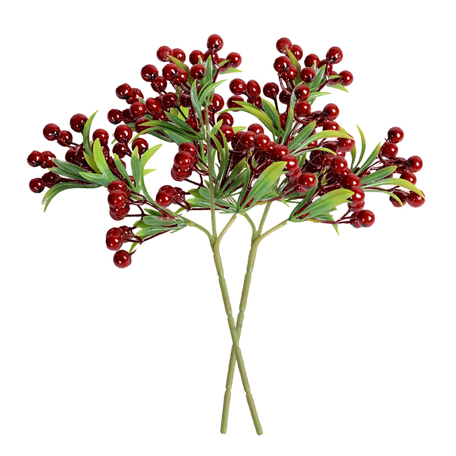 Красная ягода Рождественское украшение Моделирование Растение
Красная ягода Рождественское украшение Моделирование Растение