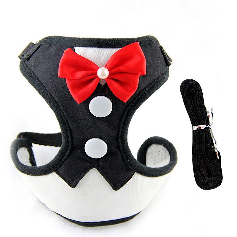 Puppy Dog Chain Chest Strap Hand Holding Rope Small and Medium-Sized Dogs Teddy/French Bulldog Cat Rope Vest Pet Supplies M suitable for 3.50 kg-6.00 kg dogs Black-Dress
Puppy Dog Chain Chest Strap Hand Holding Rope Small and Medium-Sized Dogs Teddy/French Bulldog Cat Rope Vest Pet Supplies M suitable for 3.50 kg-6.00 kg dogs Black-Dress