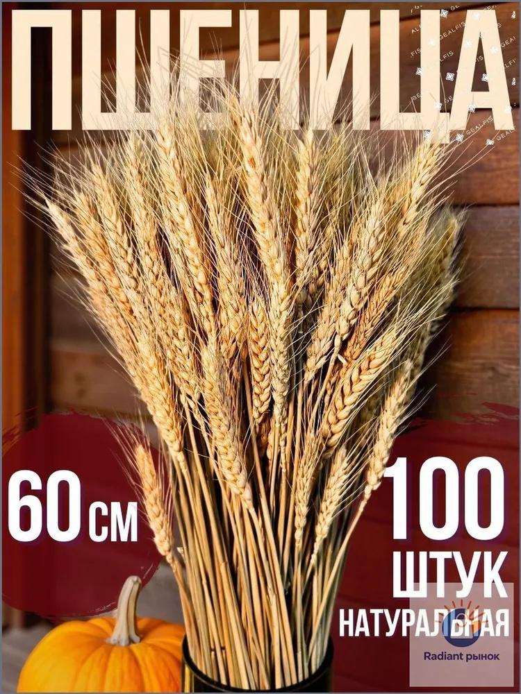 100pcs Dried Wheat Stalks Bouquet Natural Wheatgrass Dried Flowers for Home Decoration Wedding Craft DIY Floral Arrangements and Gifts One Size хаки
100pcs Dried Wheat Stalks Bouquet Natural Wheatgrass Dried Flowers for Home Decoration Wedding Craft DIY Floral Arrangements and Gifts One Size хаки