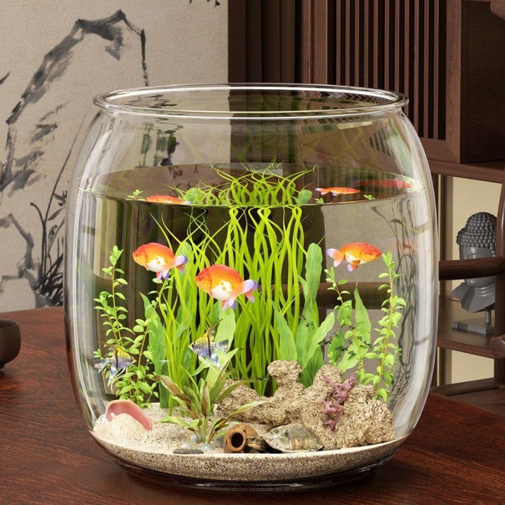 Transparent Ecological Tank Ultra Clear Turtle Tank Ornament Landscape Fish Tank Flowerpot XS
Transparent Ecological Tank Ultra Clear Turtle Tank Ornament Landscape Fish Tank Flowerpot XS