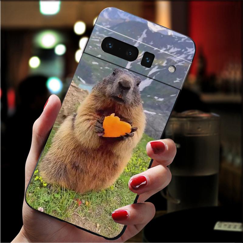 Phone Case For Google Pixel 10 Pro XL 9 Pro XL 9A 8 7 6 Pro Pixel 8A 7A 6A Pixel 8 7 6 5 Pet Animal Capybara Google Pixel 6A
Phone Case For Google Pixel 10 Pro XL 9 Pro XL 9A 8 7 6 Pro Pixel 8A 7A 6A Pixel 8 7 6 5 Pet Animal Capybara Google Pixel 6A