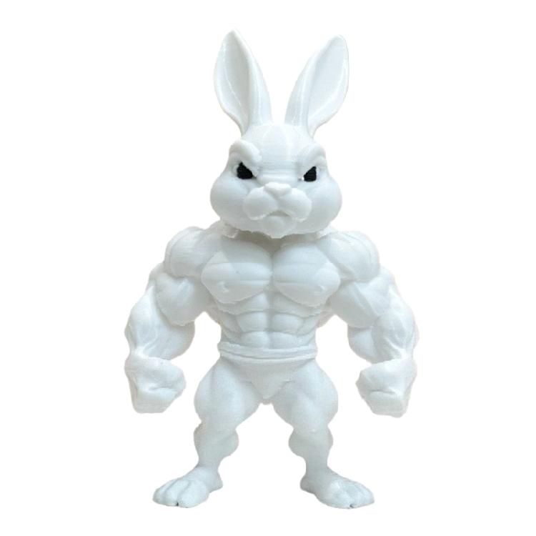 3D Printed Muscle Bunnies Figurines Muscular Rabbit Statue Table Ornament Home Decors Collectibles Figurines Women Men 1
3D Printed Muscle Bunnies Figurines Muscular Rabbit Statue Table Ornament Home Decors Collectibles Figurines Women Men 1