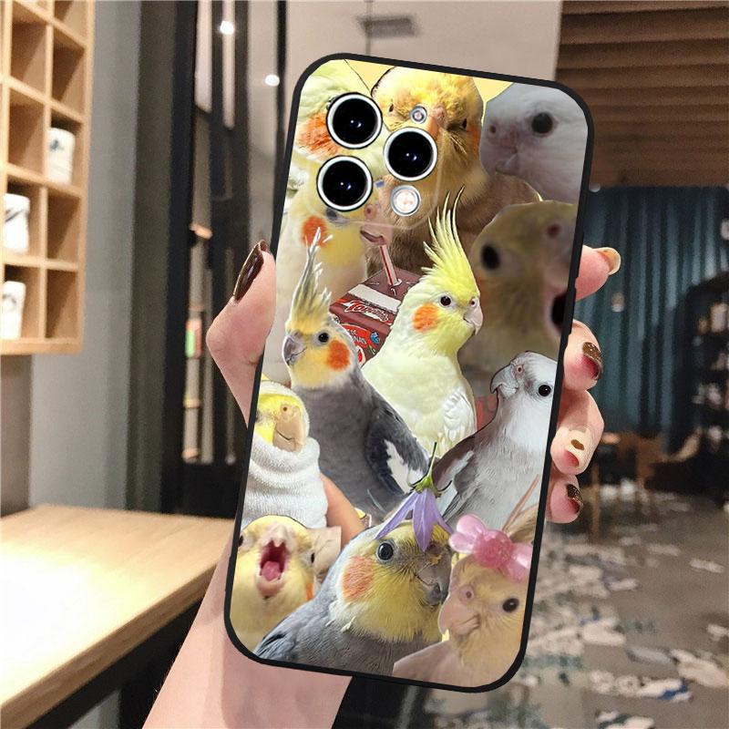Phone Case Carcasa Funda For iPhone 17 Pro Max 17 Air 16 15 14 13 Pro Max 15 16 Pro 15Plus Cockatiel bird iphone 13
Phone Case Carcasa Funda For iPhone 17 Pro Max 17 Air 16 15 14 13 Pro Max 15 16 Pro 15Plus Cockatiel bird iphone 13
