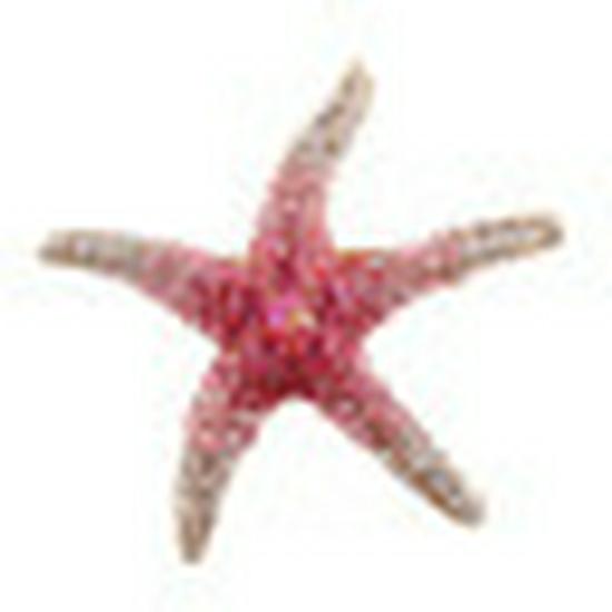 Бриллиантовая брошь в виде морской звезды из экологически чистого сплава: Универсальный модный аксессуар для женщин
Бриллиантовая брошь в виде морской звезды из экологически чистого сплава: Универсальный модный аксессуар для женщин