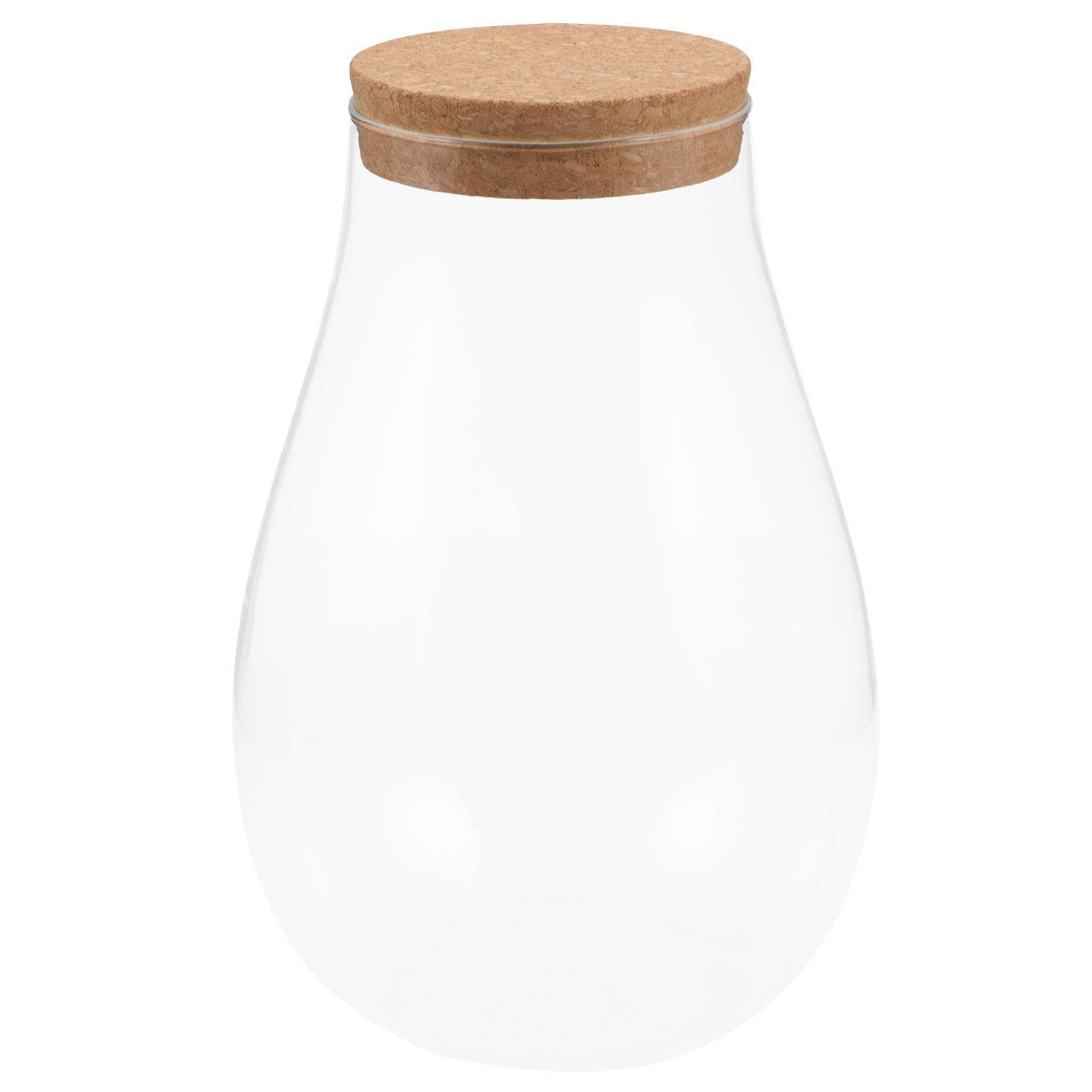 Micro Landscape Ecological Bottle Water Waterbottle Bryophyte Container Outdoor Terrarium Glass Hydroponic Plant Landscaping
Micro Landscape Ecological Bottle Water Waterbottle Bryophyte Container Outdoor Terrarium Glass Hydroponic Plant Landscaping