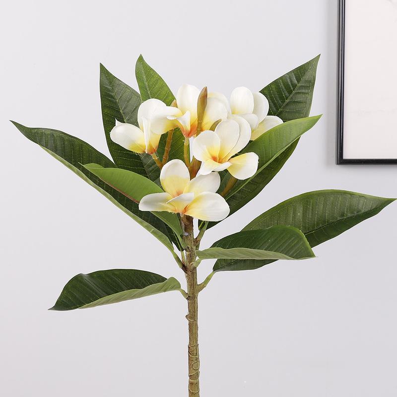 Simulated egg flower feels green plant leaves leaves fake flower window garden made, simulated plant egg flower
Simulated egg flower feels green plant leaves leaves fake flower window garden made, simulated plant egg flower
