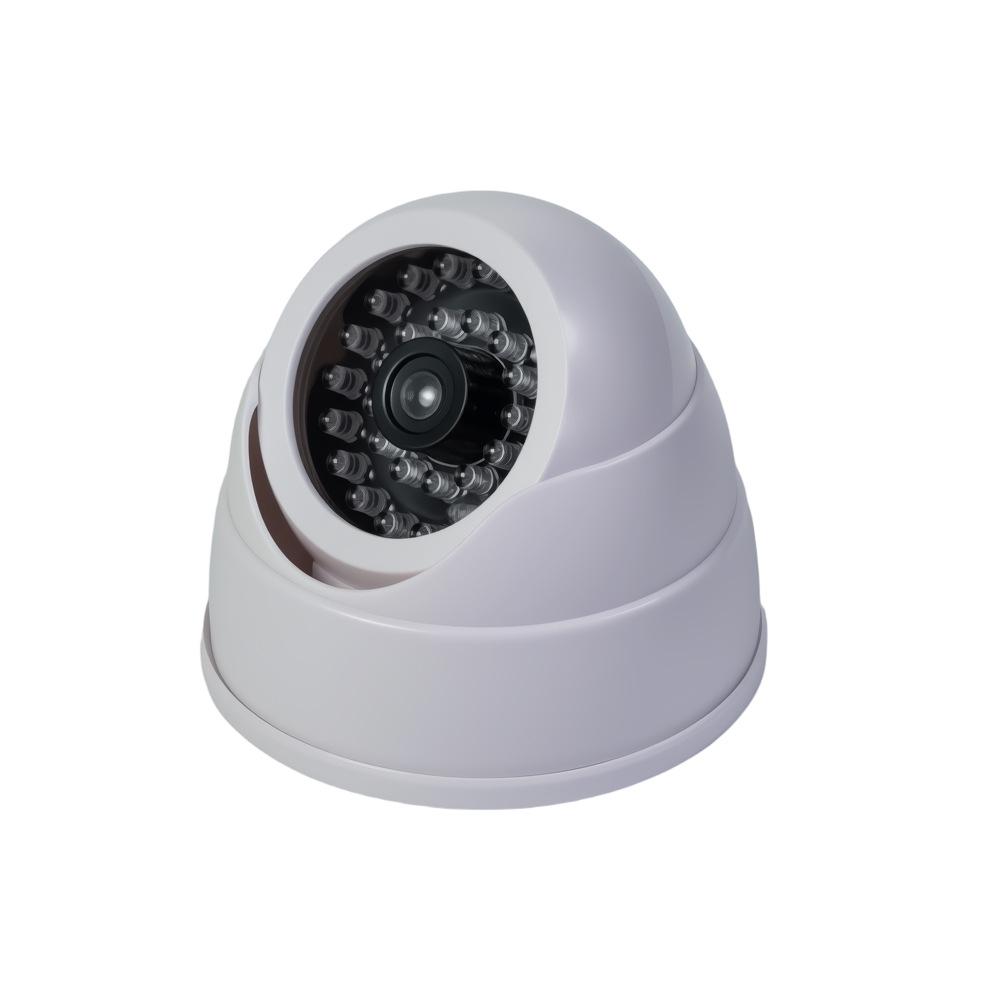 Simulated Conch and Surveillance Camera for Monitoring
Simulated Conch and Surveillance Camera for Monitoring