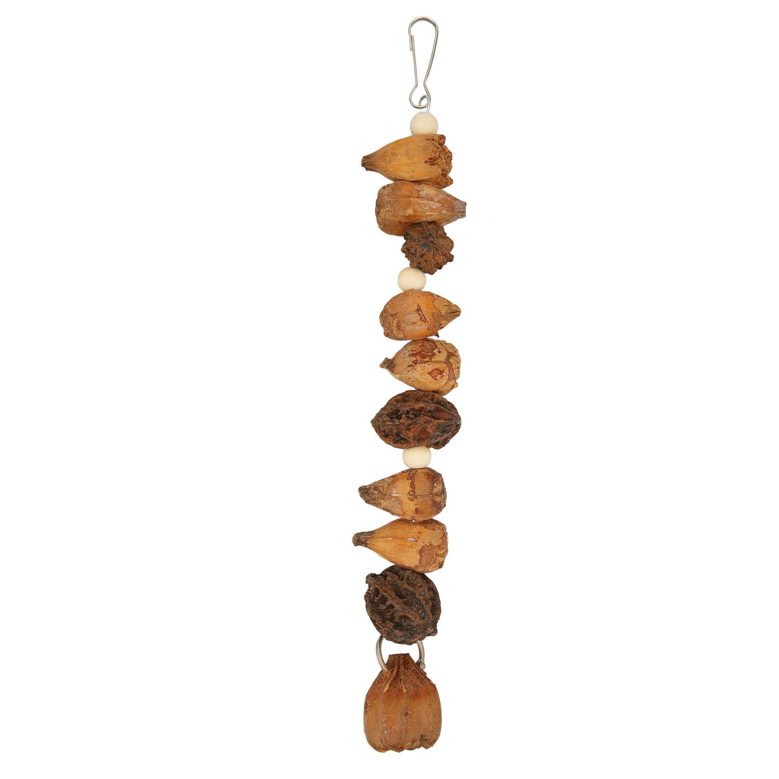 Bird Chew Toys Grinding Mouth Bite Resistance Logs Natural Nuts Hanging Parrot Chew Toys for
Bird Chew Toys Grinding Mouth Bite Resistance Logs Natural Nuts Hanging Parrot Chew Toys for