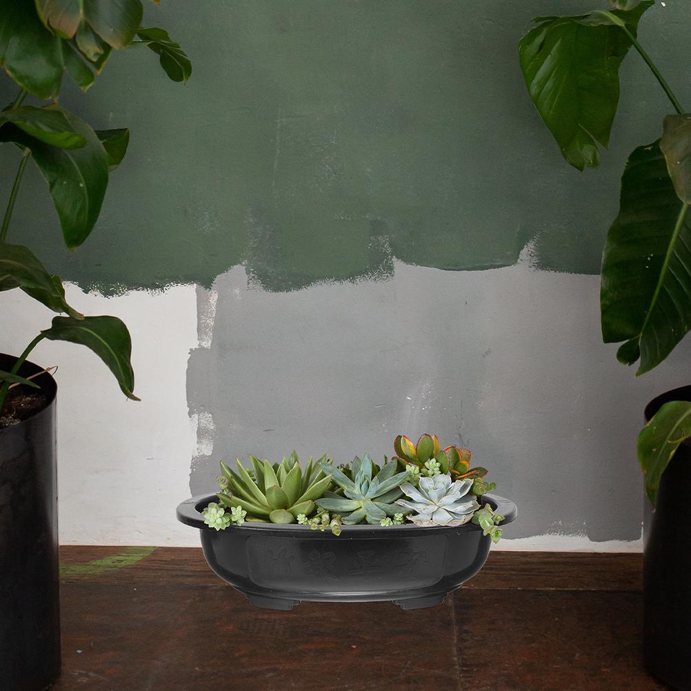 2 Pcs Bonsai Pots Flowerpot Oval Planter Ornament Container Plastic Planting Household Large Garden Holder Gardening Office 30.5X23CM
2 Pcs Bonsai Pots Flowerpot Oval Planter Ornament Container Plastic Planting Household Large Garden Holder Gardening Office 30.5X23CM