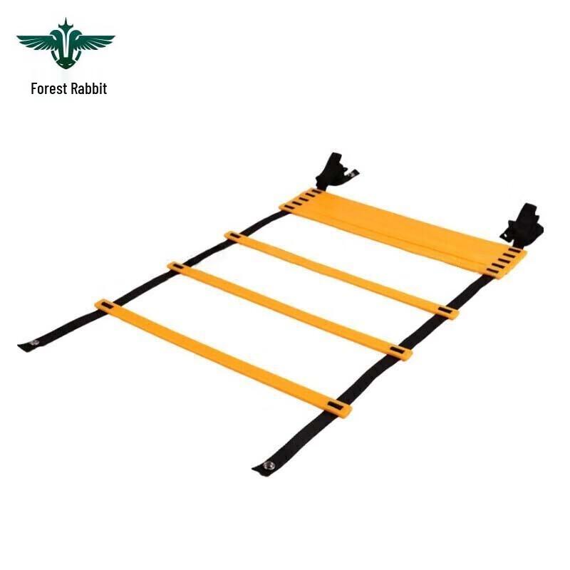 Agility Training Ladder
Agility Training Ladder
